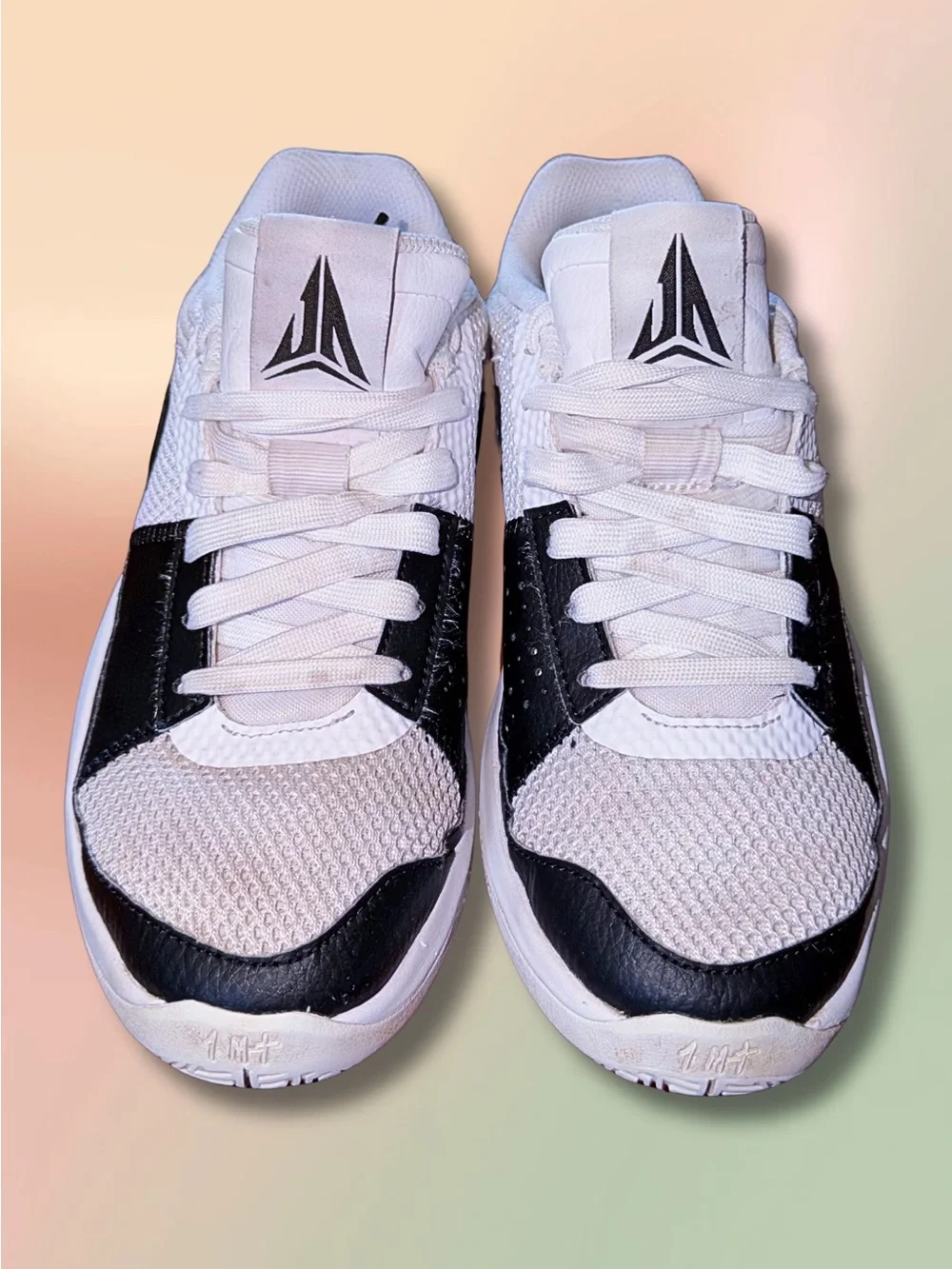 Nike Ja 1 GS 6Y White Black “Day One” DX2294-102 Basketball Shoes